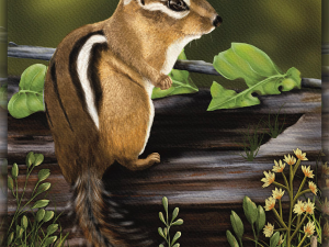 curious chipmunk.webp