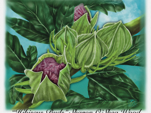 Hardy Hibiscus Buds, Soft green bud pods beginning to open with cranberry colored leaves inside, hazy green background. Shadowmyst Art, Sharon O’Shea Wood.