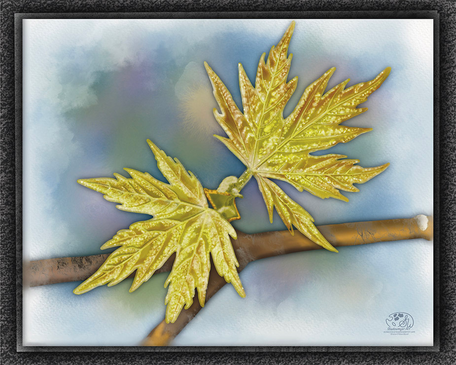 Seasonal Leaves Series Spring painting, tender yellow-green Maple leaves on a watercolor background, botanical digital artwork by Shadowmyst Art.