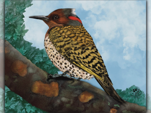 Long Island Northern Flicker, a Woodpecker, overall brown with orange chevron on back of head, long black beak perched on a branch facing left of canvas. Shadowmyst Art, Sharon O’Shea Wood.