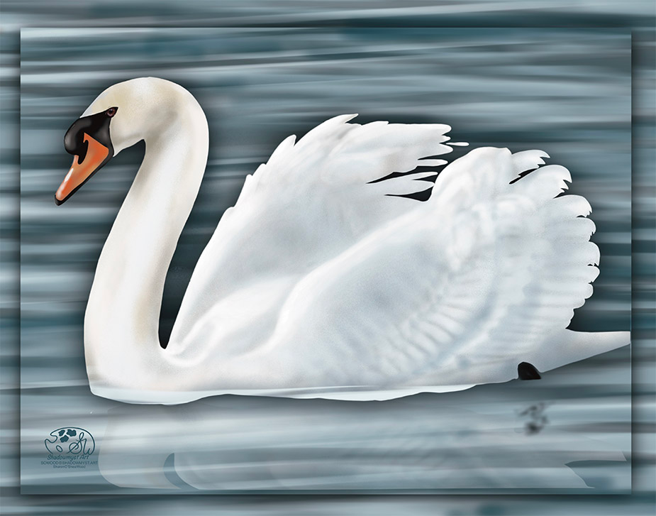 Mute swan painting gliding across Mill Pond, dark water reflection, digital Painterly Realism art by Shadowmyst Art.