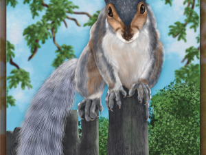 northern grey squirrel 2025.webp