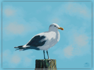 Herring gull standing on a pylon in the water. Shadowmyst Art, Sharon O’Shea Wood.