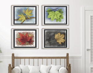 Seasonal Leaves Paintings Series displayed framed on a wall above a console, four-season Maple leaf digital art by Shadowmyst Art.