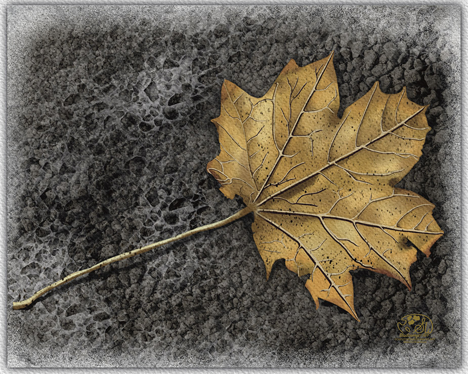 Seasonal Leaves Series, Winter. A dried, brown leaf on a gravel ground background. Shadowmyst Art, Sharon O’Shea Wood.