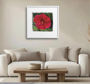 Living Room with cream color couch and walls with white framed above the couch displaying Hardy Hibiscus Bloom, Holy Grail painting, Red Hibiscus Bloom.