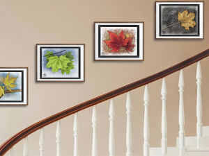 Seasonal Leaves Set of four. Framed and placed on beige wall of a staircase.