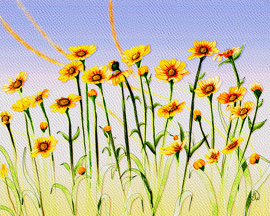 Yellow coreopsis wildflower painting with daisy-like blooms swaying above a summer garden, Procreate digital art in impressionist watercolor style.
