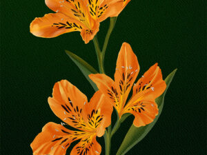 Peruvian Lily digital artwork has four daylily blooms in shades of yellow and orange with dark brown spot and yellow eyes with medium green to blue-green stems and foliage on a textured dark green background. Painted by Shadowmyst Art.