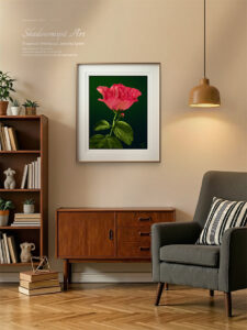 Tropical Hibiscus Jennie Lynn, Pink and cream bloom with dark green leaves on a lightly textured dark teal background with light source from upper left corner of the canvas. Digital artwork by Shadowmyst Art displayed framed on a living room wall.