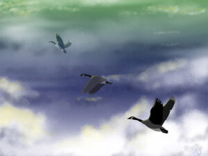 Canada geese painting by Shadowmyst Art: three Canada geese fly upward across a cloudy sky of green, violet, and blue, the nearest goose large with wings raised, in watercolor style.