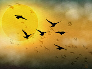 Starling murmuration painting by Shadowmyst Art: dark silhouettes of European starlings fly across a glowing golden sun and hazy amber sky, fading into a dusky horizon, in watercolor style.