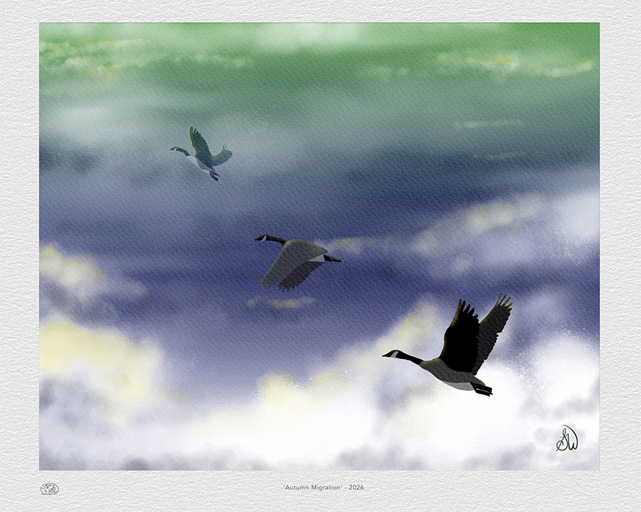 Canada geese painting — flock of geese lifts into a cloudy autumn sky beginning their seasonal migration, Autumn Migration digital artwork by Shadowmyst Art, print example.