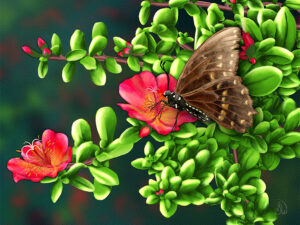 Spicebush Swallowtail butterfly painting by Shadowmyst Art: a cream-and-black swallowtail with blue-spotted wings feeds at a Mojave Red portulaca bloom among glossy green succulent leaves against a dark background.